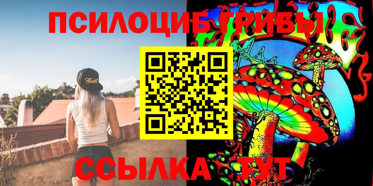 Псилоцибиновые грибы Cubensis Павлово