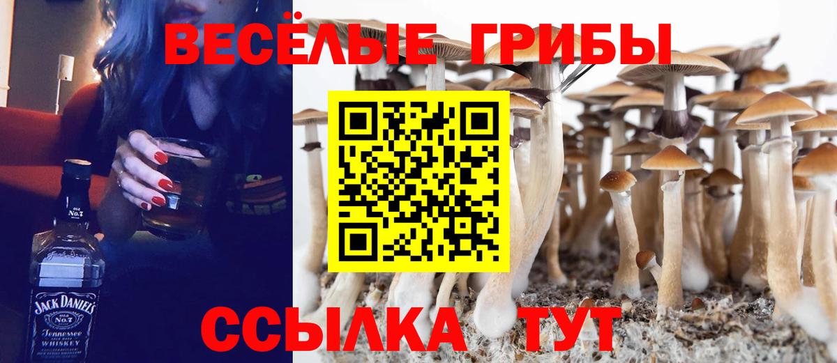 МАРИХУАНА  ГАШИШ  Павлово  Меф МЯУ МЯУ кристаллы  Вход с VPN 