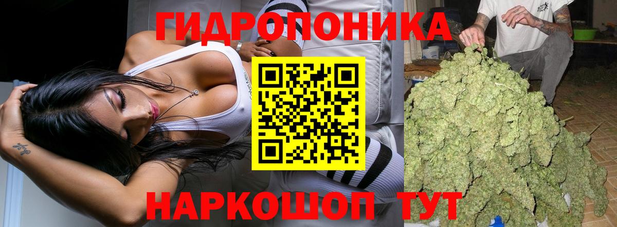 Канабис MAZAR  Вход с VPN  Павлово  Канабис план  Конопля VHQ  Бошки марихуана план 